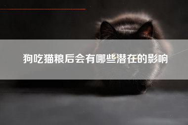 狗吃猫粮后会有哪些潜在的影响