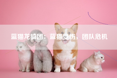 蓝猫龙骑团：蓝猫受伤，团队危机