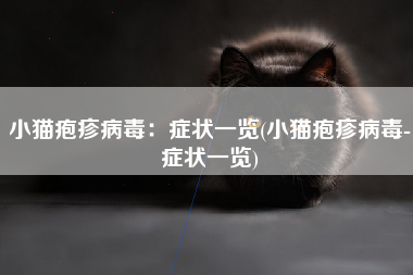 小猫疱疹病毒：症状一览(小猫疱疹病毒-症状一览)