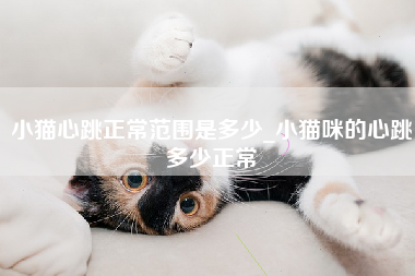 小猫心跳正常范围是多少_小猫咪的心跳多少正常