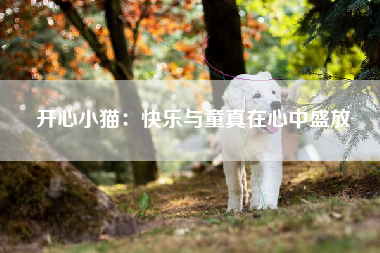 开心小猫：快乐与童真在心中盛放