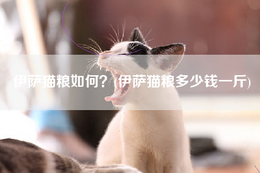 伊萨猫粮如何？(伊萨猫粮多少钱一斤)