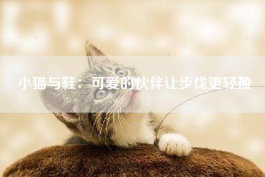 小猫与鞋：可爱的伙伴让步伐更轻盈