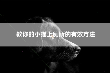 教你的小猫上厕所的有效方法