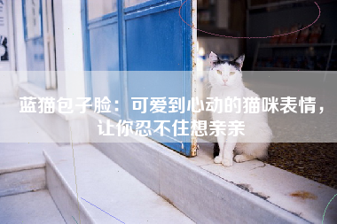 蓝猫包子脸：可爱到心动的猫咪表情，让你忍不住想亲亲