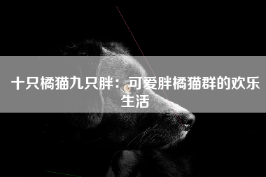 十只橘猫九只胖：可爱胖橘猫群的欢乐生活