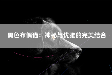 黑色布偶猫：神秘与优雅的完美结合