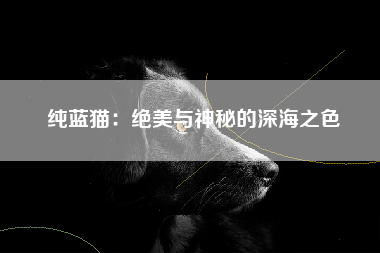 纯蓝猫：绝美与神秘的深海之色