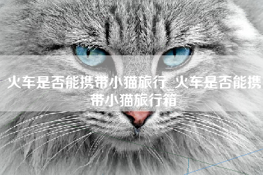 火车是否能携带小猫旅行_火车是否能携带小猫旅行箱