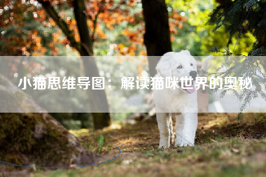 小猫思维导图：解读猫咪世界的奥秘