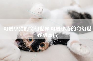 可爱小猫的奇幻世界,可爱小猫的奇幻世界动画片