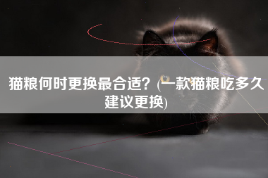 猫粮何时更换最合适？(一款猫粮吃多久建议更换)