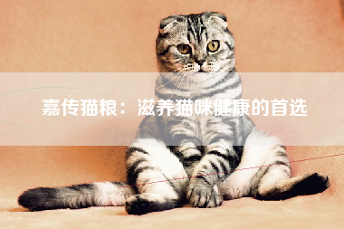 嘉传猫粮：滋养猫咪健康的首选