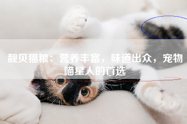 靓贝猫粮：营养丰富，味道出众，宠物喵星人的首选