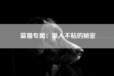 蓝猫专属：吸人不粘的秘密