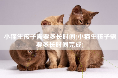 小猫生孩子需要多长时间(小猫生孩子需要多长时间完成)