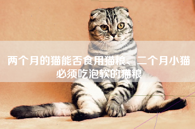 两个月的猫能否食用猫粮、二个月小猫必须吃泡软的猫粮