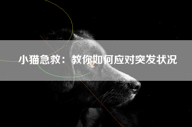 小猫急救：教你如何应对突发状况