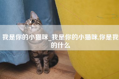 我是你的小猫咪_我是你的小猫咪,你是我的什么