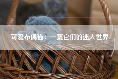 可爱布偶猫：一窥它们的迷人世界