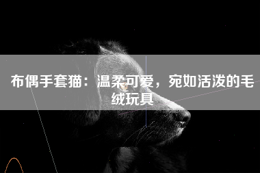 布偶手套猫：温柔可爱，宛如活泼的毛绒玩具