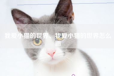 我爱小猫的世界、我爱小猫的世界怎么画