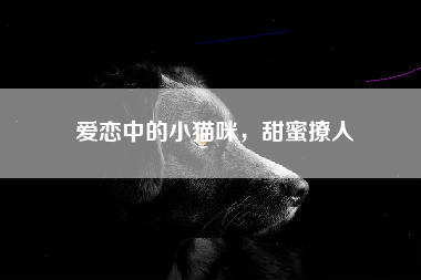 爱恋中的小猫咪，甜蜜撩人