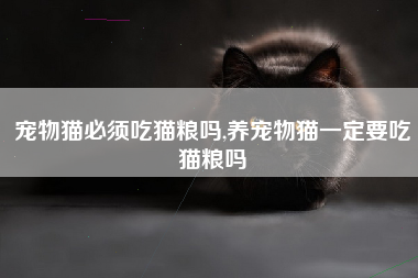 宠物猫必须吃猫粮吗,养宠物猫一定要吃猫粮吗