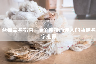 蓝猫命名指南：30个独特而迷人的蓝猫名字推荐