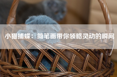 小猫捕蝶：简笔画带你领略灵动的瞬间