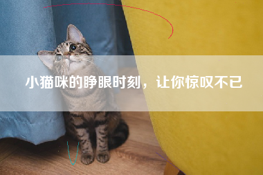 小猫咪的睁眼时刻，让你惊叹不已