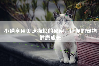 小猫享用美味猫粮的秘密，让你的宠物健康成长