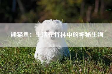 熊猫鱼：生活在竹林中的神秘生物