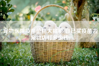 宠物医院疫苗价格大揭秘(自己买疫苗去宠物店打多少钱)