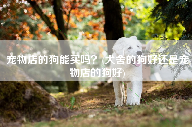 宠物店的狗能买吗？(犬舍的狗好还是宠物店的狗好)