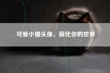 可爱小猫头像，萌化你的世界