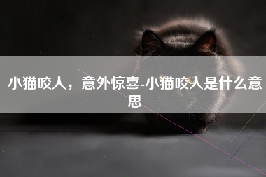 小猫咬人，意外惊喜-小猫咬人是什么意思