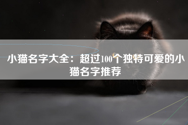 小猫名字大全：超过100个独特可爱的小猫名字推荐