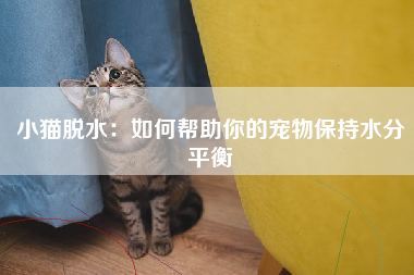 小猫脱水：如何帮助你的宠物保持水分平衡