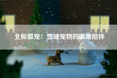 北极狐宠：雪域宠物的温暖陪伴