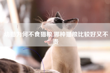 幼猫为何不食猫粮,哪种猫粮比较好又不贵