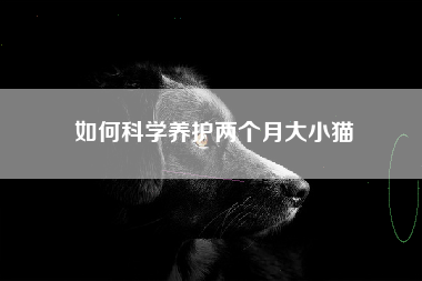 如何科学养护两个月大小猫