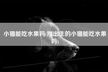 小猫能吃水果吗(刚出生的小猫能吃水果吗)