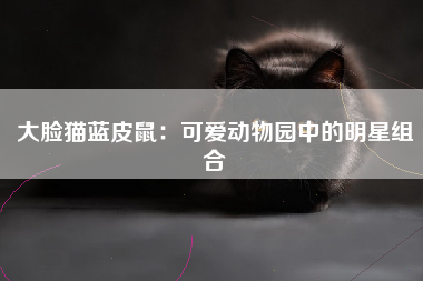 大脸猫蓝皮鼠：可爱动物园中的明星组合