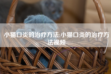 小猫口炎的治疗方法;小猫口炎的治疗方法视频