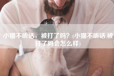 小猫不听话，被打了吗？(小猫不听话,被打了吗会怎么样)