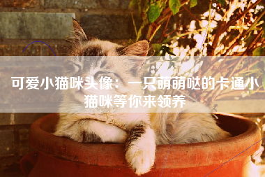 可爱小猫咪头像：一只萌萌哒的卡通小猫咪等你来领养