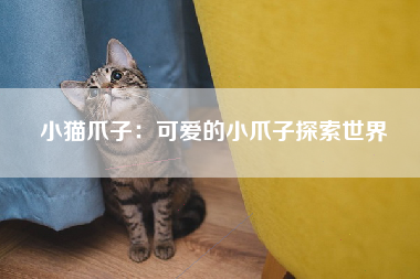 小猫爪子：可爱的小爪子探索世界