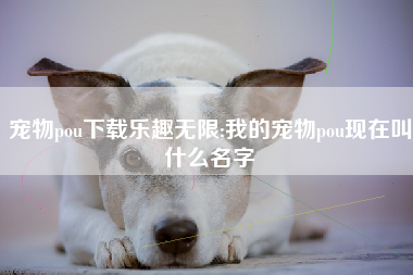 宠物pou下载乐趣无限;我的宠物pou现在叫什么名字