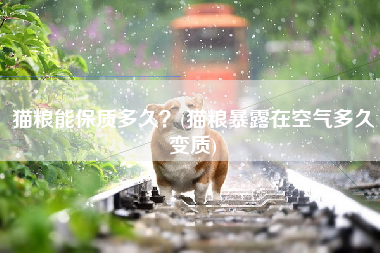 猫粮能保质多久？(猫粮暴露在空气多久变质)